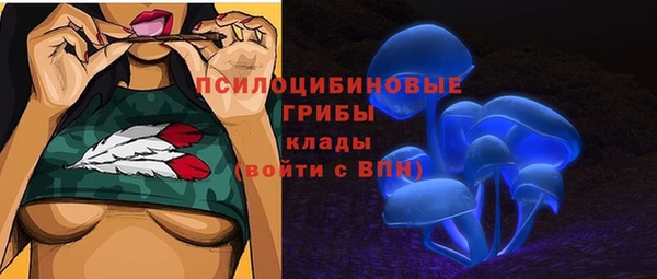 МДПВ Михайлов