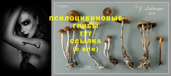 МДПВ Михайлов