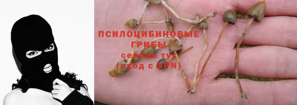 МДПВ Михайлов